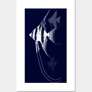 Angelfish Posters and Art